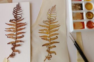 Autumn Fern Ruth Wharrier