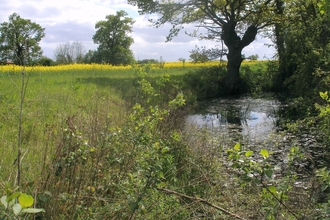 Suffolk Wildlife Trust