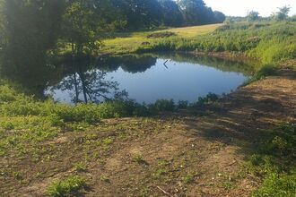Suffolk Wildlife Trust