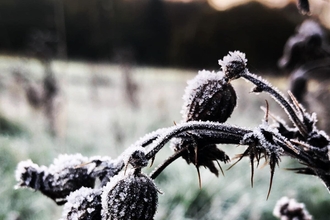 Frosty Ipswich - Lucy Shepherd