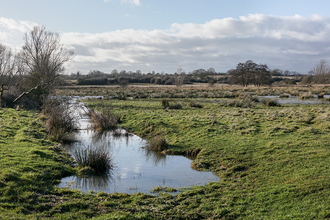 Black Bourn Valley Nature Reserve, Steve Aylward