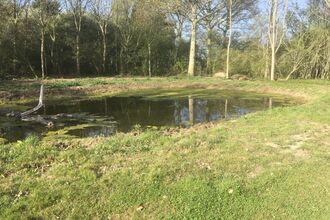 Farmland pond - Mike Porter