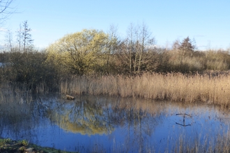 Early spring at Lackford Lakes