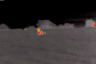 Fox at Carlton Marshes via night scope - Matt Gooch