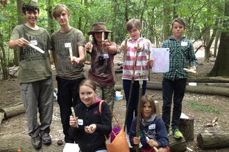 Trees and whittling