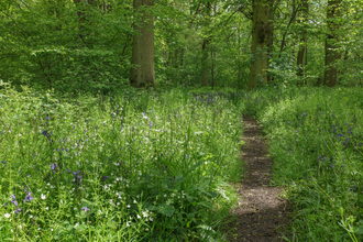 Rowley Grove - Steve Aylward