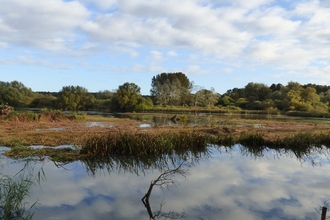 View from Bernard's hide at Lackford Lakes October 2021