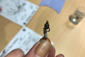 Ringed bird leg in owl pellet - Vicky Bolton