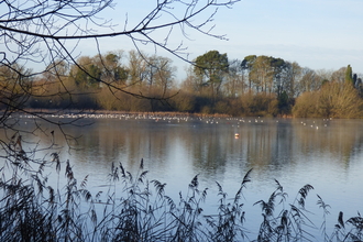 Sailing lake Jan 2022 Lackford Lakes