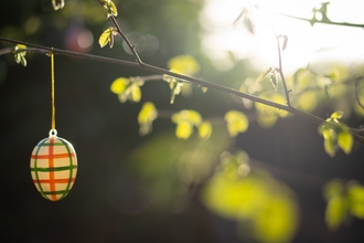Easter egg hanging from branch