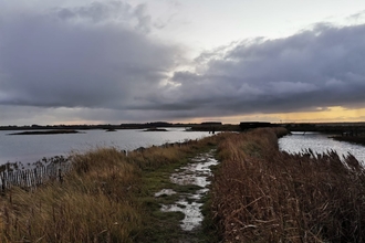 Hazlewood Marshes, Jessica Ratcliff, Jan 22