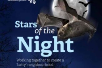 Wild about gardens bats guide