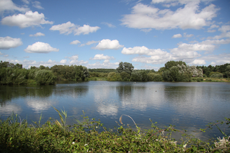View across lake in summer