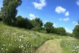 The wildlife area at The Suffolk Showground, Kayleigh Jowers