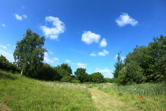 The wildlife area at the suffolk show 2022