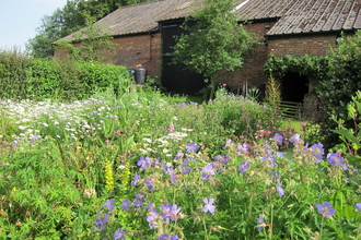 Foxburrow Barn Garden