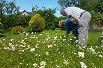 Kate and Dave's wildflower meadow - Cathy Smith