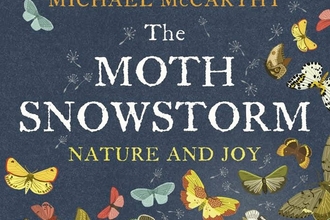 The Moth Snowstorm book cover