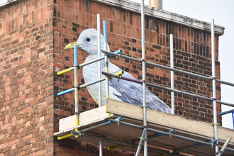 Kittiwake mural - Mick Howes