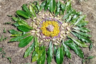 Nature mendala created with green leaves and yellow petals in the shape of a flower