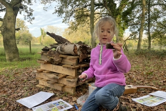 SEND Woodland Play at Knettishall Heath