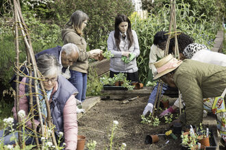 Suffolk Wildlife Trust