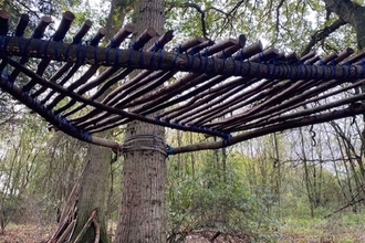 Tree platform in Crag Pitt Wood - Yasmin Otter