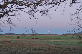 Carlton Marshes - Lewis Yates