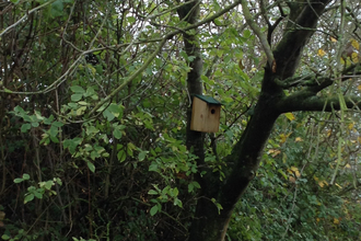 Suffolk Wildlife Trust 