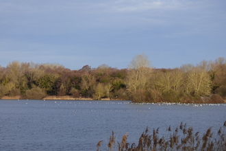 Lackford lakes Early February 2023