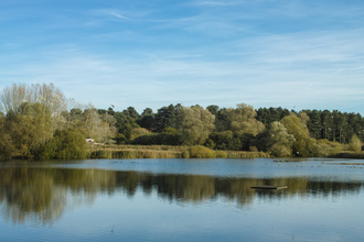 Lackford Lakes