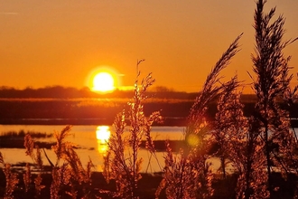 Sunset at Carlton Marshes, Anneke Emery