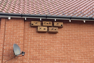 Swift boxes