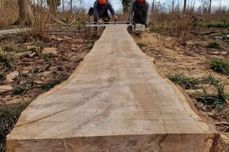 Green oak woodworking, Bradfield Woods, Anneke Emery 
