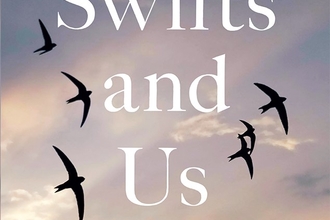 Wild Reads Swifts and Us