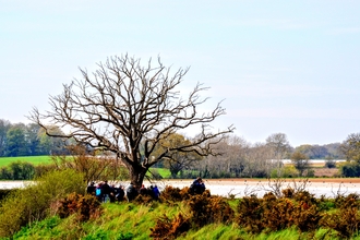 ANOB volunteers at Martlesham Wilds