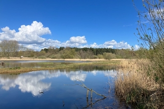 Lackford Lakes on a sunny day