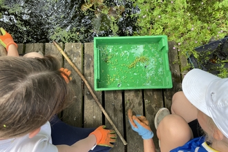 pond dipping