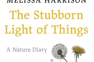 Book cover of The Stubborn Light of Things