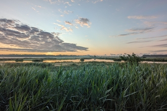 A view of Trimley Marshes Nature Reserve at sunrise
