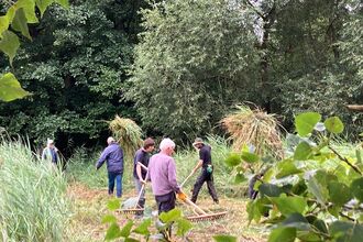 Volunteers at Carlton helping Wardens Gavin and Matt clear the next section of Sprat’s Water fen cuts this week - Matt Gooch 