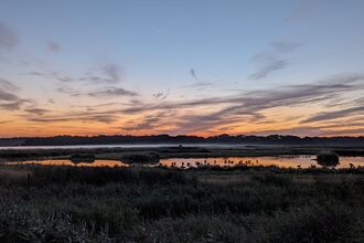 Trimley Marshes sunrise – Ella Broom 