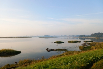 Martlesham Wilds nature reserve, River Deben, Suffolk