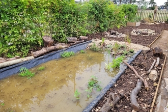 Bog garden at Wilder School