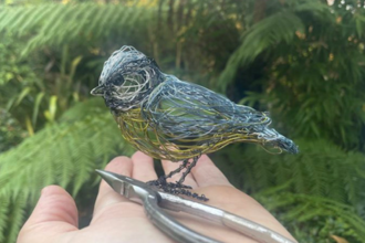 Paul greens wire blue tit 