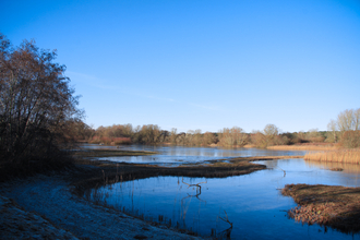 A winter view across The Shallows at Lackford Lakes 