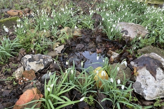 bin lid wildlife pond