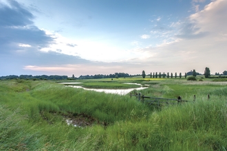 A verdant landscape overlooking scrapes with a blue and pink sky