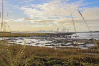 A bright morning looking over the river orwell with the tide out 