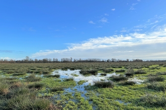 Worlingham Marshes
